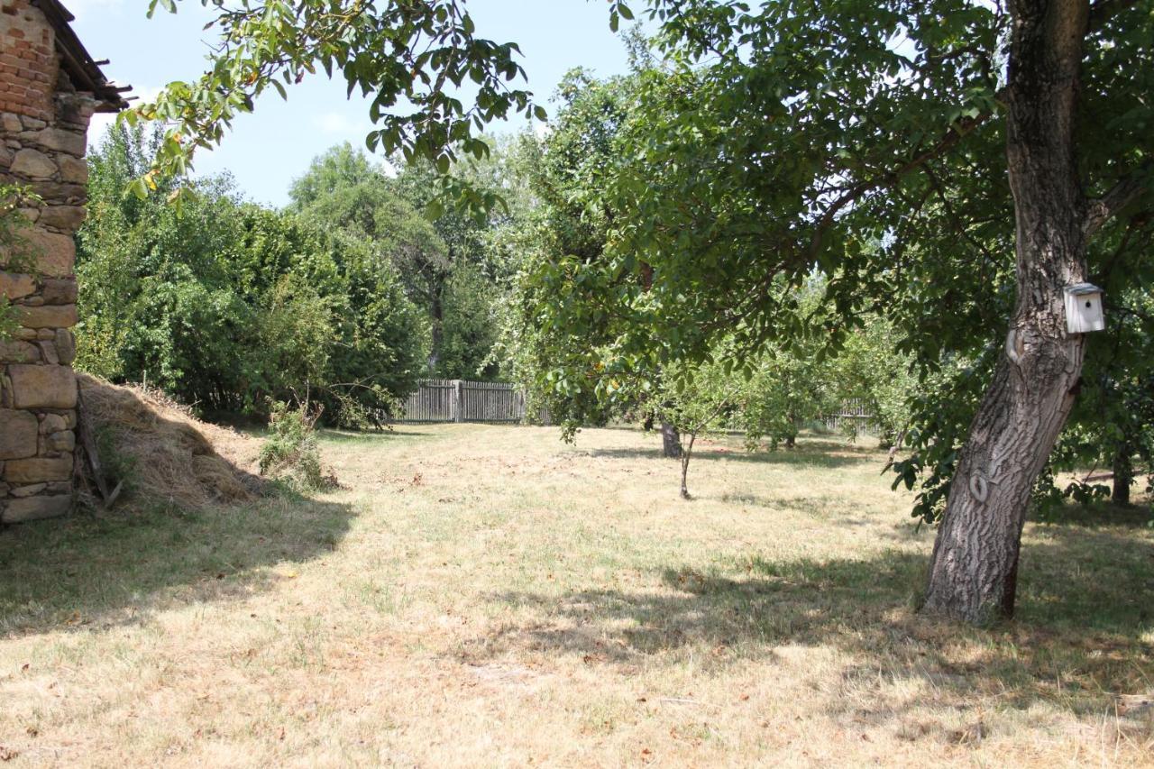 Zderaz Pardubice Countryside Vacation Home Near Prosec Extérieur photo